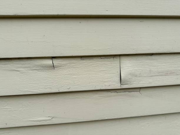 Affordable siding repair and maintenance services in Grandview, WA